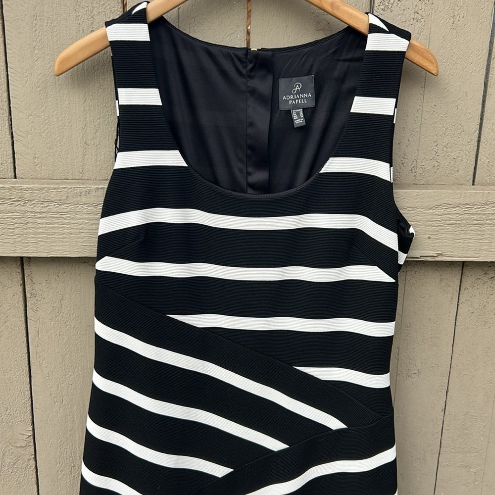Adrianna Pappell Black and White Shift Dress Career Wear Flattering Midi Size 10 - Picture 2 of 5